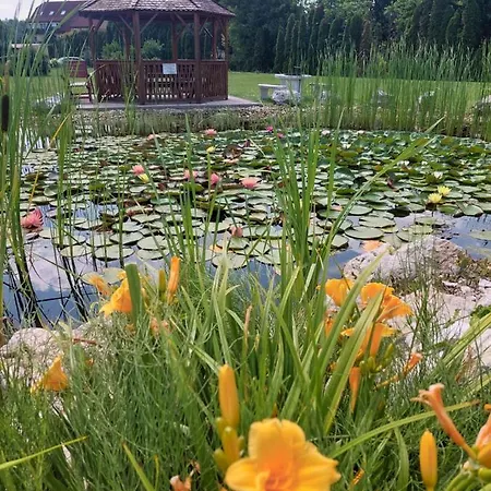 Panorama Hotell Mosonmagyaróvár
