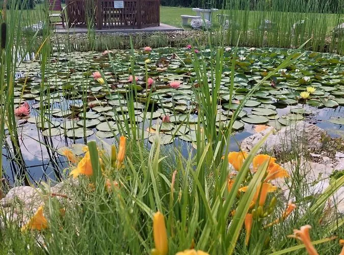 Panorama Hotel Mosonmagyaróvár